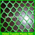 MT Green Plastic filet extrudé / filet uni plastique